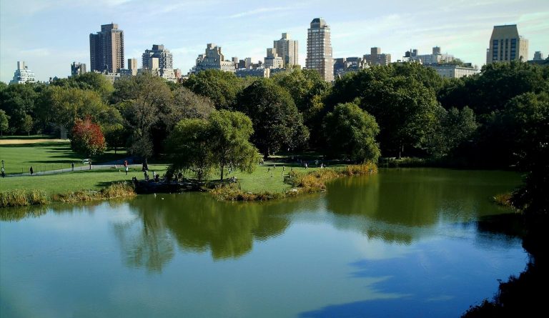 Photo of central park in NYC.