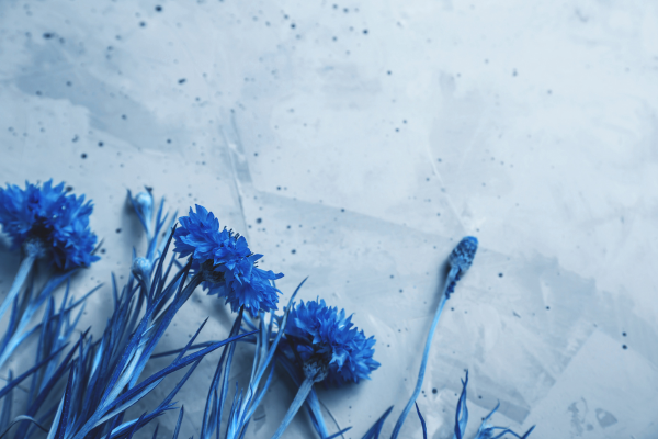 Blue flowers lying on paper.